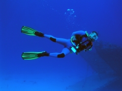 P1010003