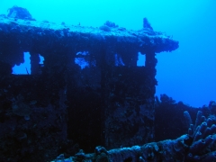 P1010005