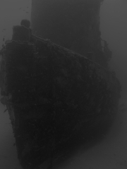 P1010008