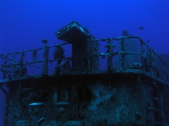 P1010021