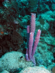 P1010091