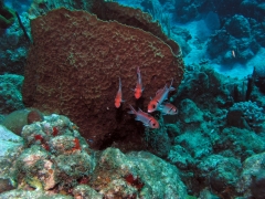 P1010094