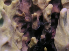 P1010095