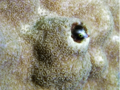 P1010100