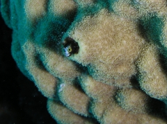 P1010101