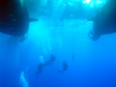 P1010115