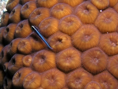 P1010120