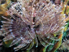 P1010123a
