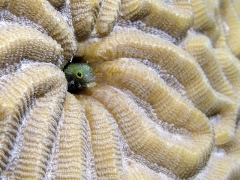 P1010131