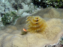 P4050026