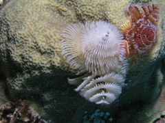 P4050031