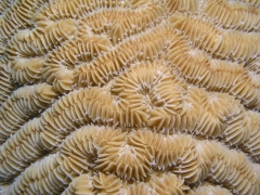 P4050034