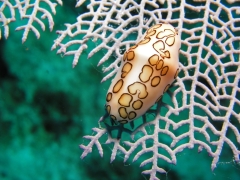 P4050067