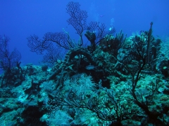 P4050070