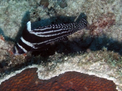 P4050137