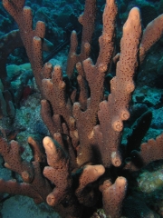 P4060307