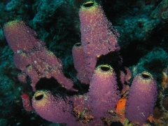 P4060333