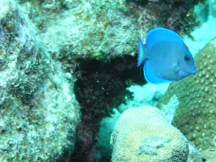 P4070016