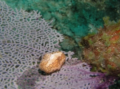 P4070032