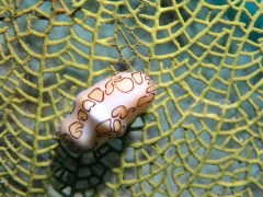 P4070043