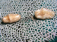P4070044