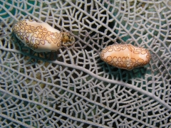 P4070049