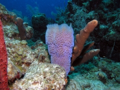 P4070074