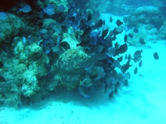 P4070080