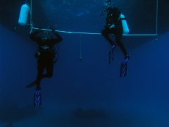 P4070093