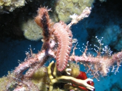P4070117