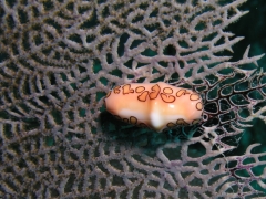P4070123