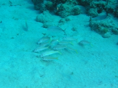 P4070126