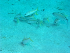 P4070127
