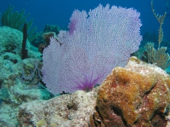 P4070129