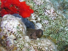 P4070132