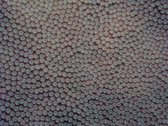 P4070135