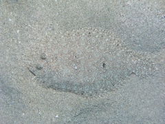P4070138