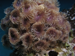 P4070144