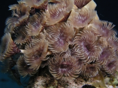 P4070146