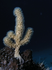 P4070147