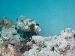 P4070153