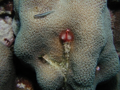 P4070366