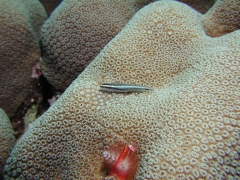 P4070367