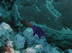 P4070370