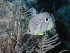 P4070381