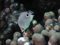 P4070385