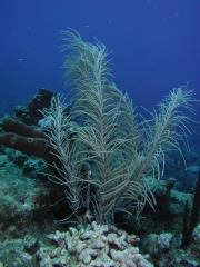 P4070388
