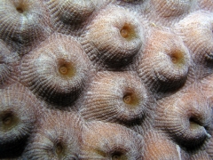 P4080016