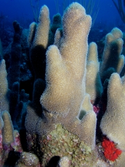 P4080023