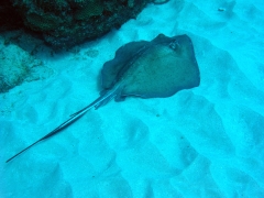 P4080180